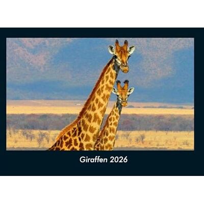 Becker Giraffen 2026 Fotokalender DIN A4: Monatskalender mit Bild-Motiven von Haustieren, Bauernhof, wilden Tieren und Raubtieren Becker Giraffen 2026 Fotokalender DIN A4: Monatskalender mit Bild-Motiven von Haustieren, Bauernhof, wilden Tieren und Raubtieren