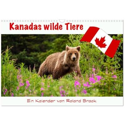 CALVENDO Calendario mensile con animali selvatici del Canada (calendario da parete 2026 DIN A3 orizzontale), motivo: animali selvatici del Canada, dal potente orso grizzly alla libellula in filigrana CALVENDO Calendario mensile con animali selvatici del Canada (calendario da parete 2026 DIN A3 orizzontale), motivo: animali selvatici del Canada, dal potente orso grizzly alla libellula in filigrana