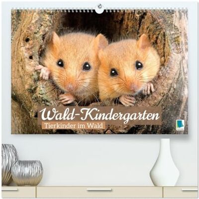 Calvendo, Calvendo Wald-Kindergarten: Tierkinder im Wald (hochwertiger Premium Wandkalender 2026 DIN A2 quer), Kunstdruck in Hochglanz: Tierbaybys begeistern viele Naturfreunde im Wald Calvendo, Calvendo Wald-Kindergarten: Tierkinder im Wald (hochwertiger Premium Wandkalender 2026 DIN A2 quer), Kunstdruck in Hochglanz: Tierbaybys begeistern viele Naturfreunde im Wald