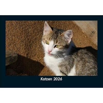 Becker Katzen 2026 Fotokalender DIN A5: Monatskalender mit Bild-Motiven von Haustieren, Bauernhof, wilden Tieren und Raubtieren Becker Katzen 2026 Fotokalender DIN A5: Monatskalender mit Bild-Motiven von Haustieren, Bauernhof, wilden Tieren und Raubtieren