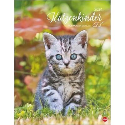 Heye Calendario postale 2024 di Monika Wegler irresistibile gatto bambino in ritratto. Un grande calendario da parete con molte foto e storie. Calendario decorativo per gatti. Heye Calendario postale 2024 di Monika Wegler irresistibile gatto bambino in ritratto. Un grande calendario da parete con molte foto e storie. Calendario decorativo per gatti.