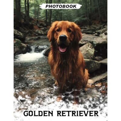 Griffin Golden Retriever Photo Book: Loyal Canine Companion Images Capturing Fun Adventures And Playful Moments In Beautiful Pet Photography Griffin Golden Retriever Photo Book: Loyal Canine Companion Images Capturing Fun Adventures And Playful Moments In Beautiful Pet Photography