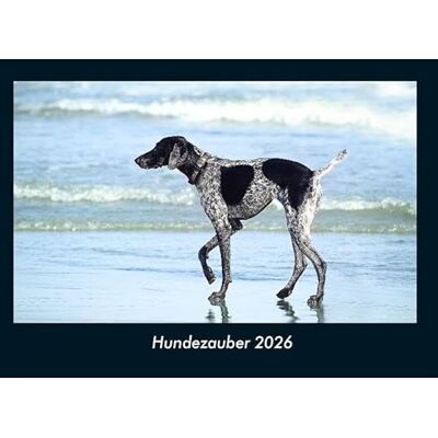 Becker Hundezauber 2026 Fotokalender DIN A4: Monatskalender mit Bild-Motiven von Haustieren, Bauernhof, wilden Tieren und Raubtieren Becker Hundezauber 2026 Fotokalender DIN A4: Monatskalender mit Bild-Motiven von Haustieren, Bauernhof, wilden Tieren und Raubtieren