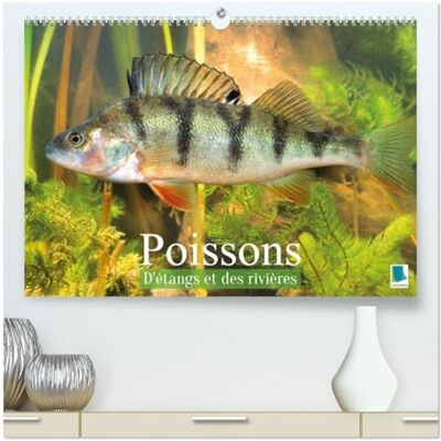 Calvendo Poissons : d'étangs et des rivières (Calendrier mural 2027 DIN A2 vertical) calendrier de bureau: Prises de vues sous-marines grandioses de poissons qui évoluent dans nos eaux Calvendo Poissons : d'étangs et des rivières (Calendrier mural 2027 DIN A2 vertical) calendrier de bureau: Prises de vues sous-marines grandioses de poissons qui évoluent dans nos eaux