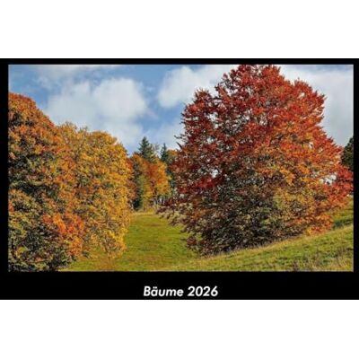 Becker Bäume 2026 Fotokalender DIN A3: Monatskalender mit Bild-Motiven aus Orten und Städten, Ländern und Kontinenten Becker Bäume 2026 Fotokalender DIN A3: Monatskalender mit Bild-Motiven aus Orten und Städten, Ländern und Kontinenten
