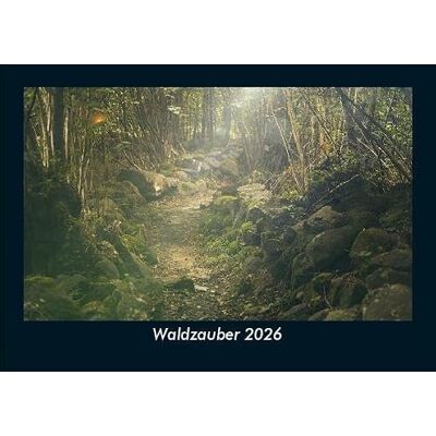 Becker Waldzauber 2026 Fotokalender DIN A5: Monatskalender mit Bild-Motiven aus Fauna und Flora, Natur, Blumen und Pflanzen Becker Waldzauber 2026 Fotokalender DIN A5: Monatskalender mit Bild-Motiven aus Fauna und Flora, Natur, Blumen und Pflanzen
