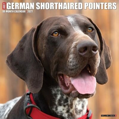 Willow Creek Press German Shorthaired Pointers 2027 Wall Willow Creek Press German Shorthaired Pointers 2027 Wall