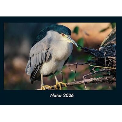 Becker Natur 2026 Fotokalender DIN A4: Monatskalender mit Bild-Motiven aus Fauna und Flora, Natur, Blumen und Pflanzen Becker Natur 2026 Fotokalender DIN A4: Monatskalender mit Bild-Motiven aus Fauna und Flora, Natur, Blumen und Pflanzen