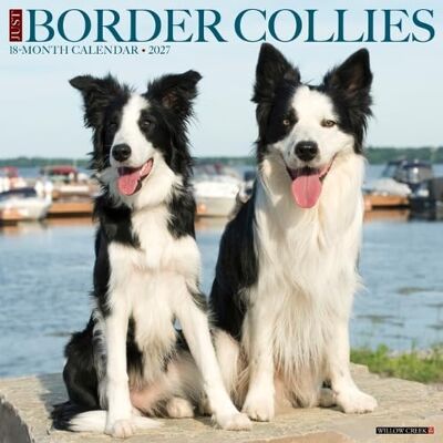Willow Creek Press Border Collies 2027 Wall Willow Creek Press Border Collies 2027 Wall