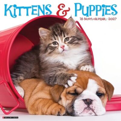 Willow Creek Press Kittens & Puppies 2027 Wall Willow Creek Press Kittens & Puppies 2027 Wall