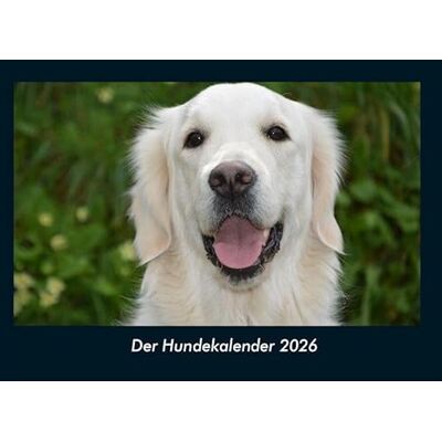 Becker Der Hundekalender 2026 Fotokalender DIN A4: Monatskalender mit Bild-Motiven von Haustieren, Bauernhof, wilden Tieren und Raubtieren Becker Der Hundekalender 2026 Fotokalender DIN A4: Monatskalender mit Bild-Motiven von Haustieren, Bauernhof, wilden Tieren und Raubtieren