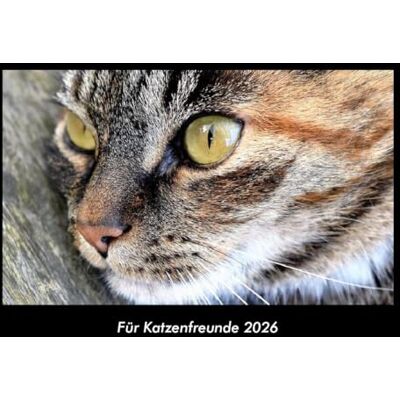 Becker Für Katzenfreunde 2026 Fotokalender DIN A3: Monatskalender mit Bild-Motiven von Haustieren, Bauernhof, wilden Tieren und Raubtieren Becker Für Katzenfreunde 2026 Fotokalender DIN A3: Monatskalender mit Bild-Motiven von Haustieren, Bauernhof, wilden Tieren und Raubtieren