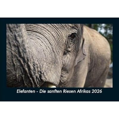 Becker Elefanten Die sanften Riesen Afrikas 2026 Fotokalender DIN A5: Monatskalender mit Bild-Motiven von Haustieren, Bauernhof, wilden Tieren und Raubtieren Becker Elefanten Die sanften Riesen Afrikas 2026 Fotokalender DIN A5: Monatskalender mit Bild-Motiven von Haustieren, Bauernhof, wilden Tieren und Raubtieren