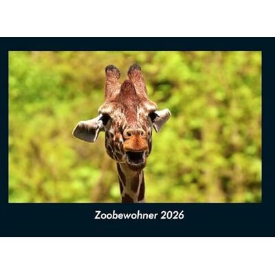 Becker Zoobewohner 2026 Fotokalender DIN A4: Monatskalender mit Bild-Motiven von Haustieren, Bauernhof, wilden Tieren und Raubtieren Becker Zoobewohner 2026 Fotokalender DIN A4: Monatskalender mit Bild-Motiven von Haustieren, Bauernhof, wilden Tieren und Raubtieren