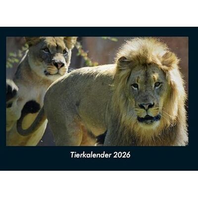 Becker Tierkalender 2026 Fotokalender DIN A4: Monatskalender mit Bild-Motiven von Haustieren, Bauernhof, wilden Tieren und Raubtieren Becker Tierkalender 2026 Fotokalender DIN A4: Monatskalender mit Bild-Motiven von Haustieren, Bauernhof, wilden Tieren und Raubtieren