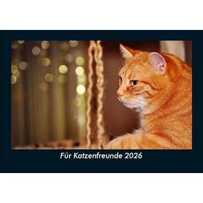 Becker Für Katzenfreunde 2026 Fotokalender DIN A5: Monatskalender mit Bild-Motiven von Haustieren, Bauernhof, wilden Tieren und Raubtieren Becker Für Katzenfreunde 2026 Fotokalender DIN A5: Monatskalender mit Bild-Motiven von Haustieren, Bauernhof, wilden Tieren und Raubtieren