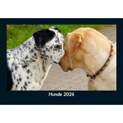 Becker Hunde 2026 Fotokalender DIN A5: Monatskalender mit Bild-Motiven von Haustieren, Bauernhof, wilden Tieren und Raubtieren Becker Hunde 2026 Fotokalender DIN A5: Monatskalender mit Bild-Motiven von Haustieren, Bauernhof, wilden Tieren und Raubtieren