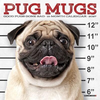 WILLOW Creek Press, Pug Mugs 2027 Mini calendario da parete, 17,8 x 17,8 cm WILLOW Creek Press, Pug Mugs 2027 Mini calendario da parete, 17,8 x 17,8 cm