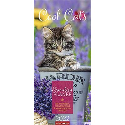 Harenberg u.Weingarten Cool Cats Calendario 2022: con festività, vacanze scolastiche e anteprima di 3 mesi per il 2023 Harenberg u.Weingarten Cool Cats Calendario 2022: con festività, vacanze scolastiche e anteprima di 3 mesi per il 2023