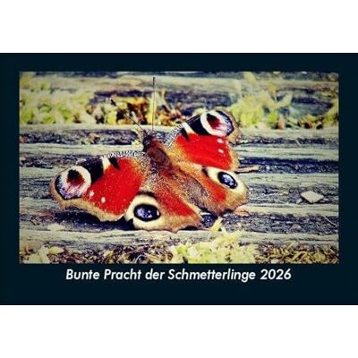 Becker Bunte Pracht der Schmetterlinge 2026 Fotokalender DIN A5: Monatskalender mit Bild-Motiven von Haustieren, Bauernhof, wilden Tieren und Raubtieren Becker Bunte Pracht der Schmetterlinge 2026 Fotokalender DIN A5: Monatskalender mit Bild-Motiven von Haustieren, Bauernhof, wilden Tieren und Raubtieren