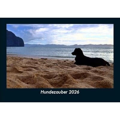 Becker Hundezauber 2026 Fotokalender DIN A5: Monatskalender mit Bild-Motiven von Haustieren, Bauernhof, wilden Tieren und Raubtieren Becker Hundezauber 2026 Fotokalender DIN A5: Monatskalender mit Bild-Motiven von Haustieren, Bauernhof, wilden Tieren und Raubtieren
