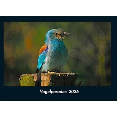 Becker Vogelparadies 2026 Fotokalender DIN A4: Monatskalender mit Bild-Motiven von Haustieren, Bauernhof, wilden Tieren und Raubtieren Becker Vogelparadies 2026 Fotokalender DIN A4: Monatskalender mit Bild-Motiven von Haustieren, Bauernhof, wilden Tieren und Raubtieren