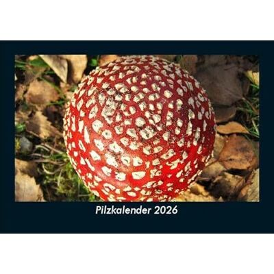 Becker Pilzkalender 2026 Fotokalender DIN A5: Monatskalender mit Bild-Motiven aus Fauna und Flora, Natur, Blumen und Pflanzen Becker Pilzkalender 2026 Fotokalender DIN A5: Monatskalender mit Bild-Motiven aus Fauna und Flora, Natur, Blumen und Pflanzen