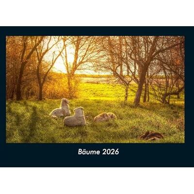 Becker Bäume 2026 Fotokalender DIN A4: Monatskalender mit Bild-Motiven aus Fauna und Flora, Natur, Blumen und Pflanzen Becker Bäume 2026 Fotokalender DIN A4: Monatskalender mit Bild-Motiven aus Fauna und Flora, Natur, Blumen und Pflanzen