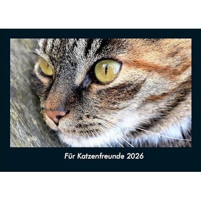 Becker Für Katzenfreunde 2026 Fotokalender DIN A4: Monatskalender mit Bild-Motiven von Haustieren, Bauernhof, wilden Tieren und Raubtieren Becker Für Katzenfreunde 2026 Fotokalender DIN A4: Monatskalender mit Bild-Motiven von Haustieren, Bauernhof, wilden Tieren und Raubtieren