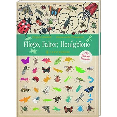 Aladjidi, Virginie Fliege, Falter, Honigbiene: Die Welt der Insekten Aladjidi, Virginie Fliege, Falter, Honigbiene: Die Welt der Insekten