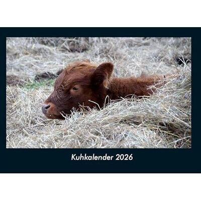 Becker Kuhkalender 2026 Fotokalender DIN A4: Monatskalender mit Bild-Motiven von Haustieren, Bauernhof, wilden Tieren und Raubtieren Becker Kuhkalender 2026 Fotokalender DIN A4: Monatskalender mit Bild-Motiven von Haustieren, Bauernhof, wilden Tieren und Raubtieren