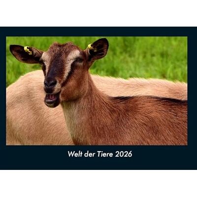 Becker Welt der Tiere 2026 Fotokalender DIN A4: Monatskalender mit Bild-Motiven von Haustieren, Bauernhof, wilden Tieren und Raubtieren Becker Welt der Tiere 2026 Fotokalender DIN A4: Monatskalender mit Bild-Motiven von Haustieren, Bauernhof, wilden Tieren und Raubtieren