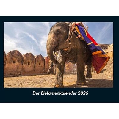 Becker Der Elefantenkalender 2026 Fotokalender DIN A4: Monatskalender mit Bild-Motiven von Haustieren, Bauernhof, wilden Tieren und Raubtieren Becker Der Elefantenkalender 2026 Fotokalender DIN A4: Monatskalender mit Bild-Motiven von Haustieren, Bauernhof, wilden Tieren und Raubtieren