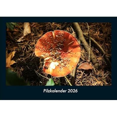 Becker Pilzkalender 2026 Fotokalender DIN A4: Monatskalender mit Bild-Motiven aus Fauna und Flora, Natur, Blumen und Pflanzen Becker Pilzkalender 2026 Fotokalender DIN A4: Monatskalender mit Bild-Motiven aus Fauna und Flora, Natur, Blumen und Pflanzen