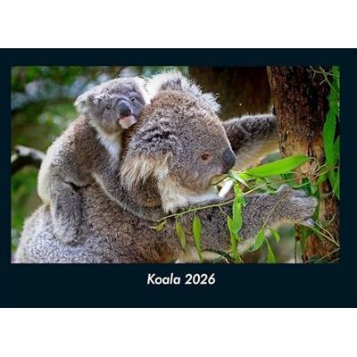 Becker Koala 2026 Fotokalender DIN A4: Monatskalender mit Bild-Motiven von Haustieren, Bauernhof, wilden Tieren und Raubtieren Becker Koala 2026 Fotokalender DIN A4: Monatskalender mit Bild-Motiven von Haustieren, Bauernhof, wilden Tieren und Raubtieren
