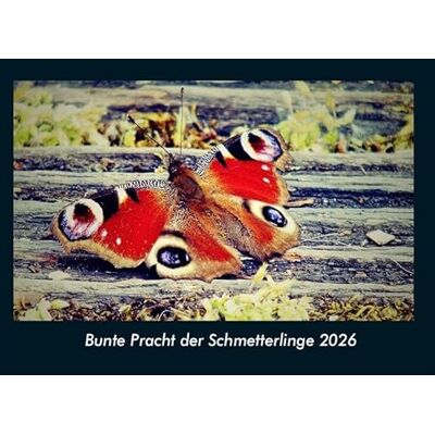 Becker Bunte Pracht der Schmetterlinge 2026 Fotokalender DIN A4: Monatskalender mit Bild-Motiven von Haustieren, Bauernhof, wilden Tieren und Raubtieren Becker Bunte Pracht der Schmetterlinge 2026 Fotokalender DIN A4: Monatskalender mit Bild-Motiven von Haustieren, Bauernhof, wilden Tieren und Raubtieren