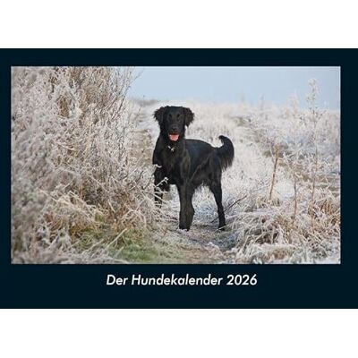 Becker Der Hundekalender 2026 Fotokalender DIN A4: Monatskalender mit Bild-Motiven von Haustieren, Bauernhof, wilden Tieren und Raubtieren Becker Der Hundekalender 2026 Fotokalender DIN A4: Monatskalender mit Bild-Motiven von Haustieren, Bauernhof, wilden Tieren und Raubtieren