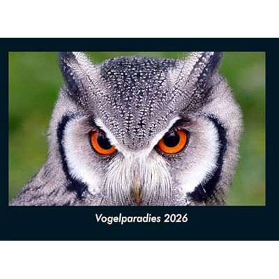 Becker Vogelparadies 2026 Fotokalender DIN A4: Monatskalender mit Bild-Motiven von Haustieren, Bauernhof, wilden Tieren und Raubtieren Becker Vogelparadies 2026 Fotokalender DIN A4: Monatskalender mit Bild-Motiven von Haustieren, Bauernhof, wilden Tieren und Raubtieren