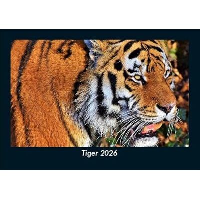 Becker Tiger 2026 Fotokalender DIN A5: Monatskalender mit Bild-Motiven von Haustieren, Bauernhof, wilden Tieren und Raubtieren Becker Tiger 2026 Fotokalender DIN A5: Monatskalender mit Bild-Motiven von Haustieren, Bauernhof, wilden Tieren und Raubtieren