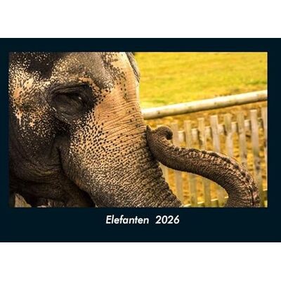 Becker Elefanten 2026 Fotokalender DIN A4: Monatskalender mit Bild-Motiven von Haustieren, Bauernhof, wilden Tieren und Raubtieren Becker Elefanten 2026 Fotokalender DIN A4: Monatskalender mit Bild-Motiven von Haustieren, Bauernhof, wilden Tieren und Raubtieren