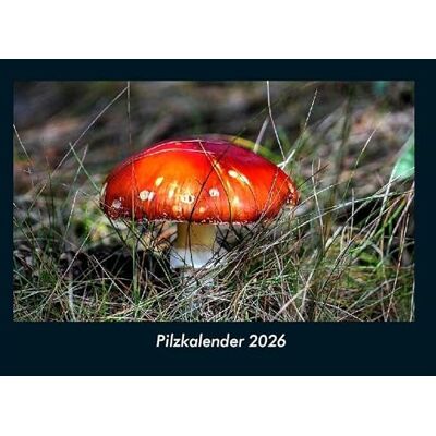 Becker Pilzkalender 2026 Fotokalender DIN A4: Monatskalender mit Bild-Motiven aus Fauna und Flora, Natur, Blumen und Pflanzen Becker Pilzkalender 2026 Fotokalender DIN A4: Monatskalender mit Bild-Motiven aus Fauna und Flora, Natur, Blumen und Pflanzen