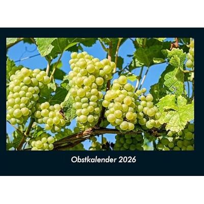 Becker Obstkalender 2026 Fotokalender DIN A4: Monatskalender mit Bild-Motiven von Obst und Gemüse, Ernährung und Essen Becker Obstkalender 2026 Fotokalender DIN A4: Monatskalender mit Bild-Motiven von Obst und Gemüse, Ernährung und Essen