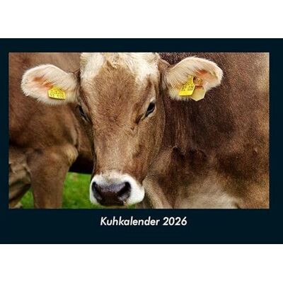 Becker Kuhkalender 2026 Fotokalender DIN A4: Monatskalender mit Bild-Motiven von Haustieren, Bauernhof, wilden Tieren und Raubtieren Becker Kuhkalender 2026 Fotokalender DIN A4: Monatskalender mit Bild-Motiven von Haustieren, Bauernhof, wilden Tieren und Raubtieren