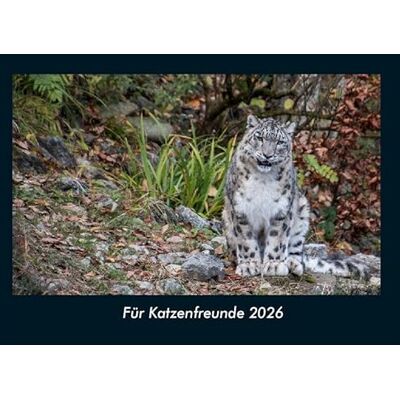 Becker Für Katzenfreunde 2026 Fotokalender DIN A4: Monatskalender mit Bild-Motiven von Haustieren, Bauernhof, wilden Tieren und Raubtieren Becker Für Katzenfreunde 2026 Fotokalender DIN A4: Monatskalender mit Bild-Motiven von Haustieren, Bauernhof, wilden Tieren und Raubtieren