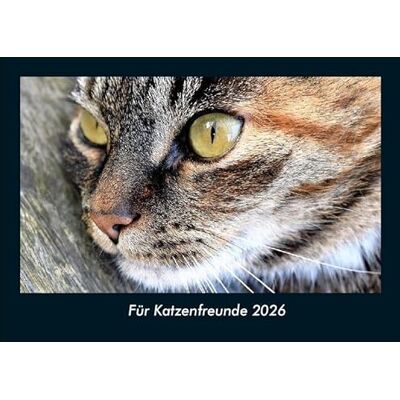 Becker Für Katzenfreunde 2026 Fotokalender DIN A4: Monatskalender mit Bild-Motiven von Haustieren, Bauernhof, wilden Tieren und Raubtieren Becker Für Katzenfreunde 2026 Fotokalender DIN A4: Monatskalender mit Bild-Motiven von Haustieren, Bauernhof, wilden Tieren und Raubtieren