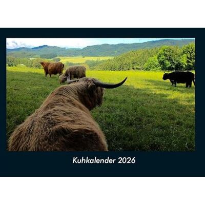 Becker Kuhkalender 2026 Fotokalender DIN A4: Monatskalender mit Bild-Motiven von Haustieren, Bauernhof, wilden Tieren und Raubtieren Becker Kuhkalender 2026 Fotokalender DIN A4: Monatskalender mit Bild-Motiven von Haustieren, Bauernhof, wilden Tieren und Raubtieren