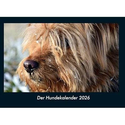 Becker Der Hundekalender 2026 Fotokalender DIN A4: Monatskalender mit Bild-Motiven von Haustieren, Bauernhof, wilden Tieren und Raubtieren Becker Der Hundekalender 2026 Fotokalender DIN A4: Monatskalender mit Bild-Motiven von Haustieren, Bauernhof, wilden Tieren und Raubtieren