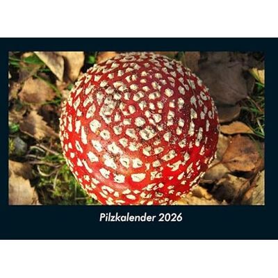 Becker Pilzkalender 2026 Fotokalender DIN A4: Monatskalender mit Bild-Motiven aus Fauna und Flora, Natur, Blumen und Pflanzen Becker Pilzkalender 2026 Fotokalender DIN A4: Monatskalender mit Bild-Motiven aus Fauna und Flora, Natur, Blumen und Pflanzen