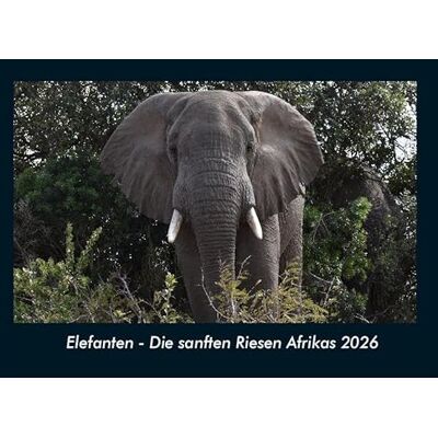 Becker Elefanten Die sanften Riesen Afrikas 2026 Fotokalender DIN A4: Monatskalender mit Bild-Motiven von Haustieren, Bauernhof, wilden Tieren und Raubtieren Becker Elefanten Die sanften Riesen Afrikas 2026 Fotokalender DIN A4: Monatskalender mit Bild-Motiven von Haustieren, Bauernhof, wilden Tieren und Raubtieren