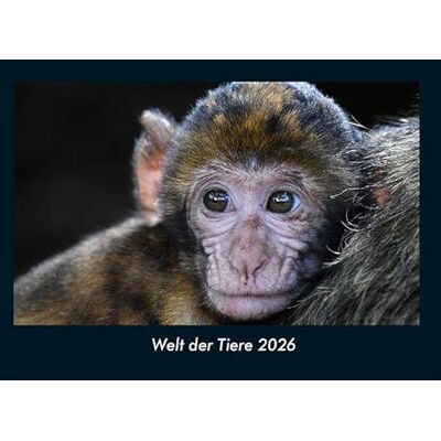Becker Welt der Tiere 2026 Fotokalender DIN A4: Monatskalender mit Bild-Motiven von Haustieren, Bauernhof, wilden Tieren und Raubtieren Becker Welt der Tiere 2026 Fotokalender DIN A4: Monatskalender mit Bild-Motiven von Haustieren, Bauernhof, wilden Tieren und Raubtieren